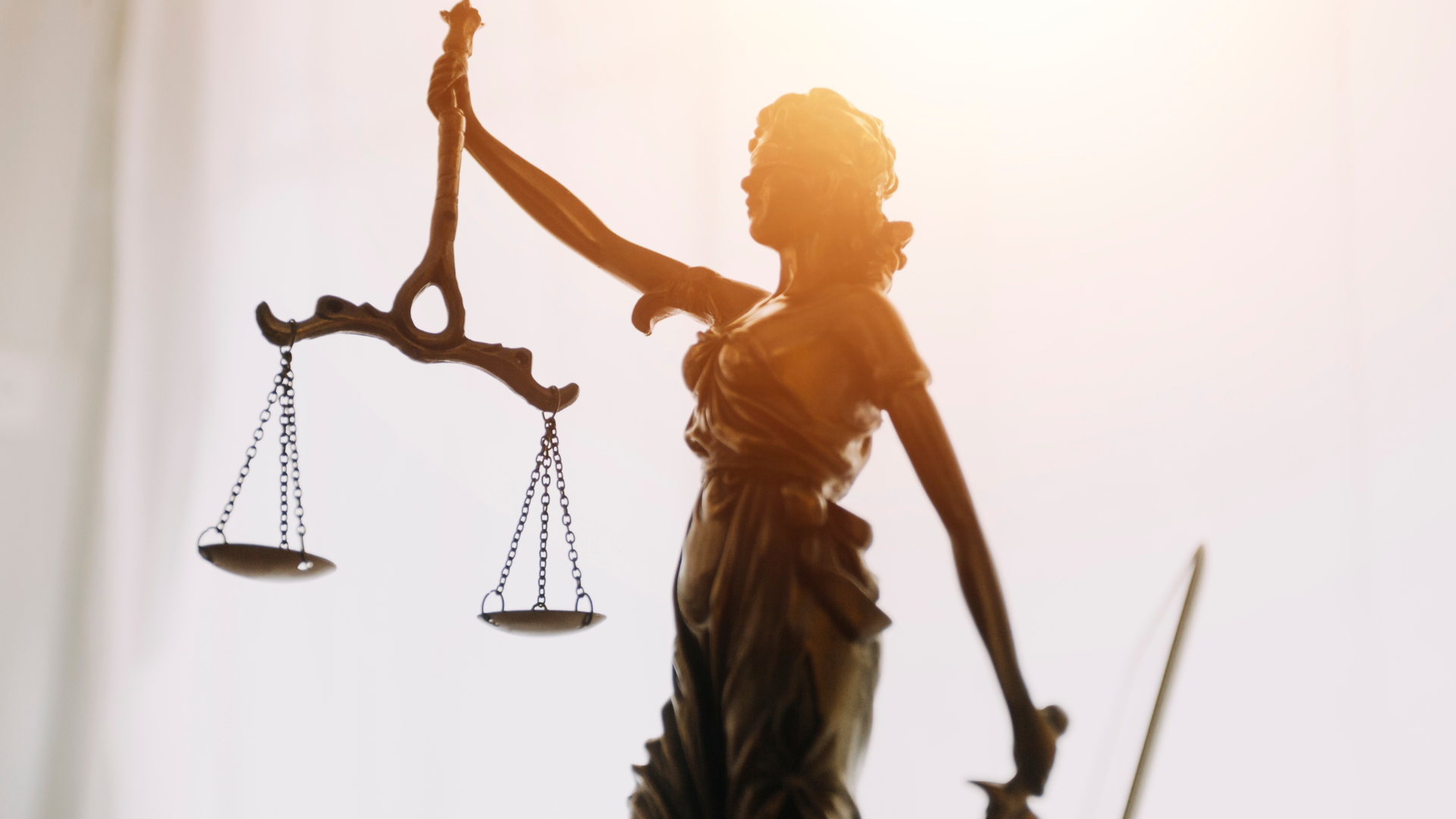 Is HSC Legal Studies Right for You? Everything You Need to Know!